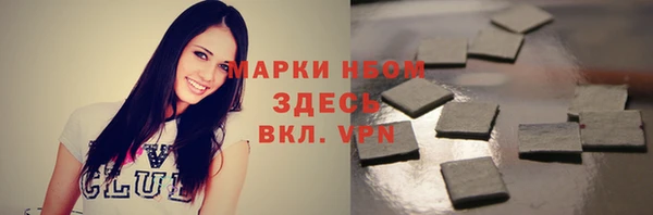 соль ск Богородицк