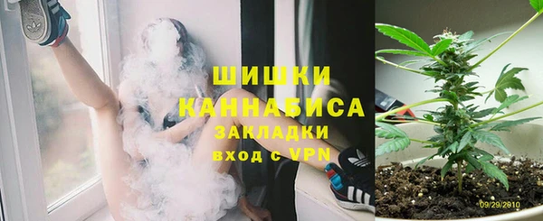 соль ск Богородицк