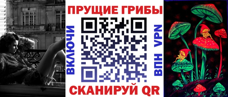 Галлюциногенные грибы Psilocybe  сайты даркнета официальный сайт  Астрахань 